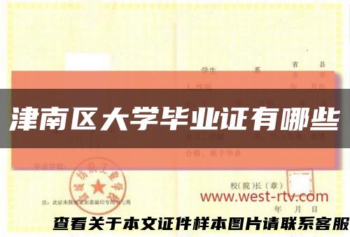 津南區大學畢業證有哪些縮略圖