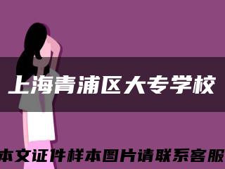 上海青浦區大專學?？s略圖