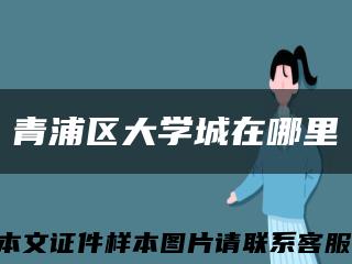 青浦區大學城在哪里縮略圖