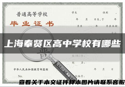 上海奉賢區高中學校有哪些縮略圖