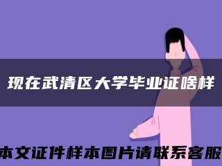 現在武清區大學畢業證啥樣縮略圖