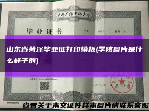 山東省菏澤畢業證打印模板(學院圖片是什么樣子的)縮略圖