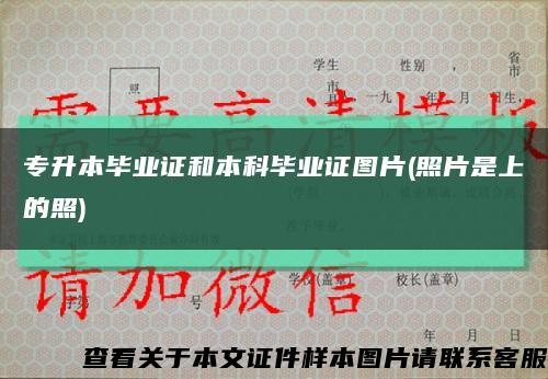 專升本畢業證和本科畢業證圖片(照片是上的照)縮略圖