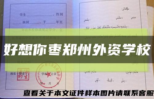 好想你棗鄭州外資學?？s略圖