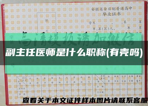 副主任醫師是什么職稱(有殼嗎)縮略圖