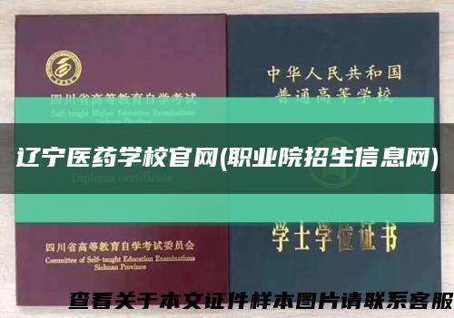遼寧醫藥學校官網(職業院招生信息網)縮略圖