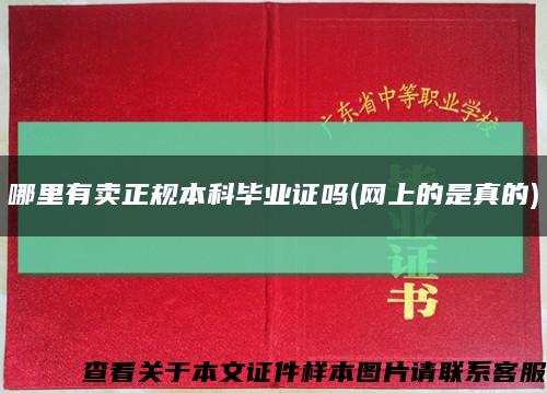 哪里有賣正規本科畢業證嗎(網上的是真的)縮略圖