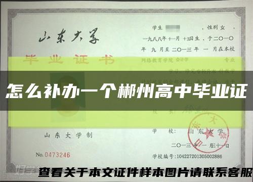 怎么補辦一個郴州高中畢業證縮略圖
