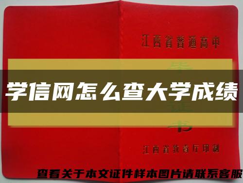 學信網怎么查大學成績縮略圖