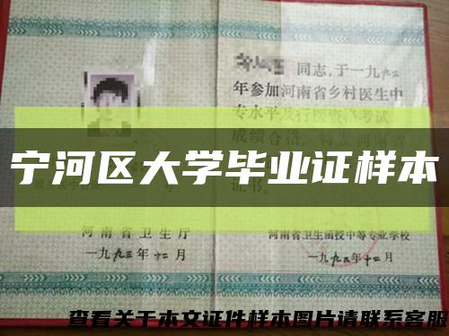 寧河區大學畢業證樣本縮略圖