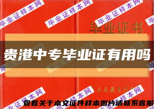 貴港中專畢業證有用嗎縮略圖