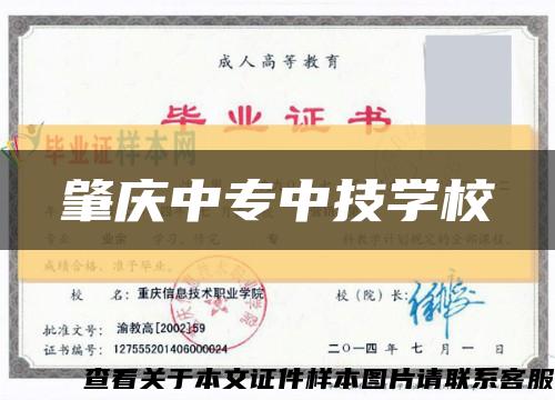 肇慶中專中技學?？s略圖