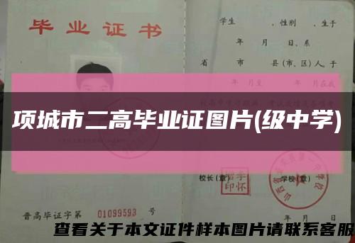 項城市二高畢業證圖片(級中學)縮略圖