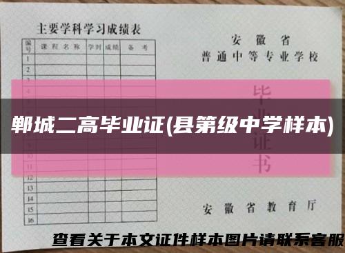 鄲城二高畢業證(縣第級中學樣本)縮略圖