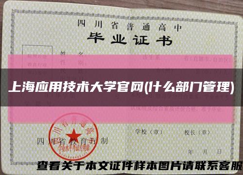 上海應用技術大學官網(什么部門管理)縮略圖