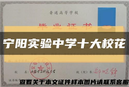 寧陽實驗中學十大?；s略圖