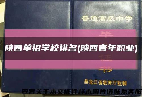 陜西單招學校排名(陜西青年職業)縮略圖