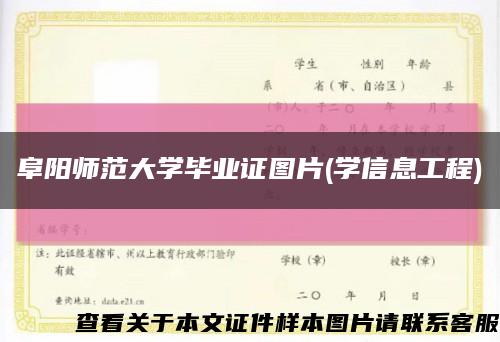 阜陽師范大學畢業證圖片(學信息工程)縮略圖