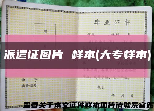 派遣證圖片 樣本(大專樣本)縮略圖