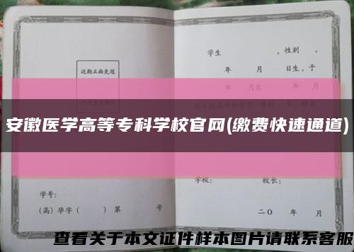 安徽醫學高等?？茖W校官網(繳費快速通道)縮略圖