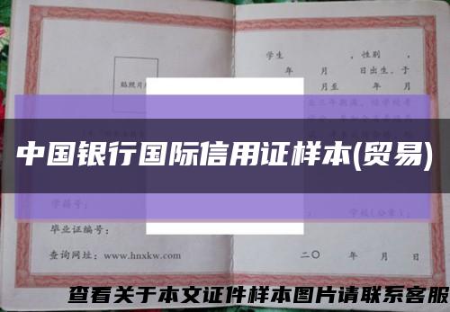 中國銀行國際信用證樣本(貿易)縮略圖