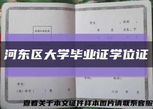 河東區大學畢業證學位證縮略圖