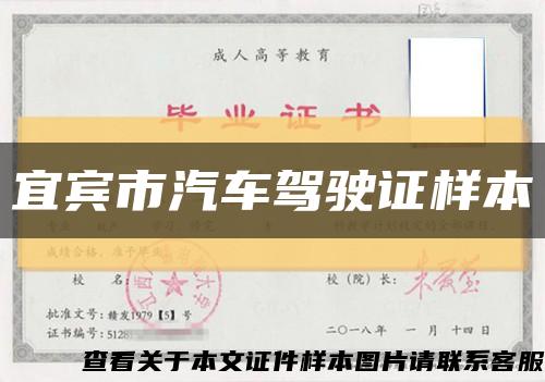 宜賓市汽車駕駛證樣本縮略圖