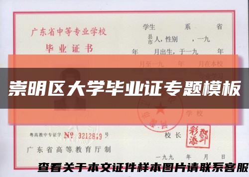 崇明區大學畢業證專題模板縮略圖