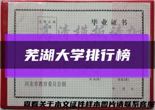 蕪湖大學排行榜縮略圖