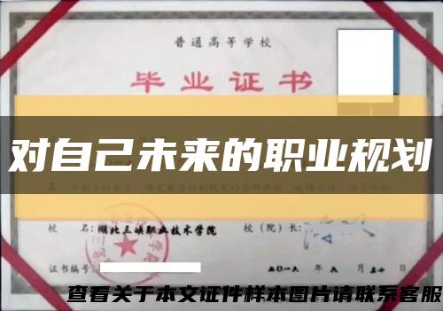 對自己未來的職業規劃縮略圖