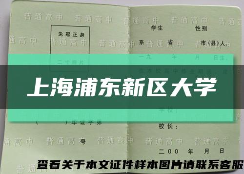 上海浦東新區大學縮略圖