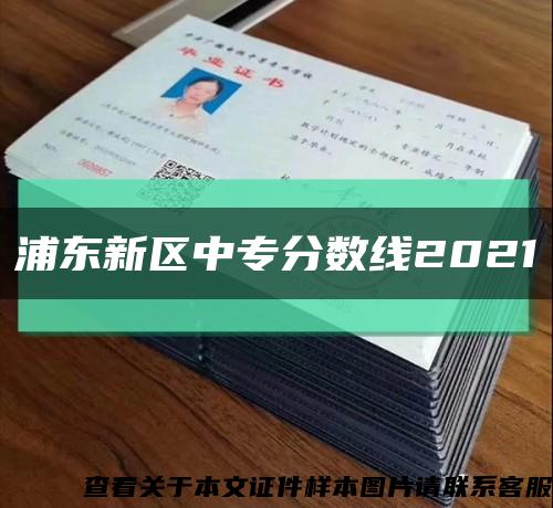 浦東新區中專分數線2021縮略圖