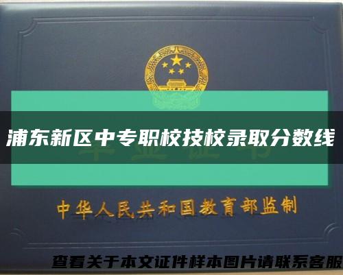 浦東新區中專職校技校錄取分數線縮略圖