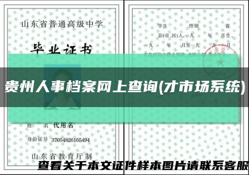貴州人事檔案網上查詢(才市場系統)縮略圖