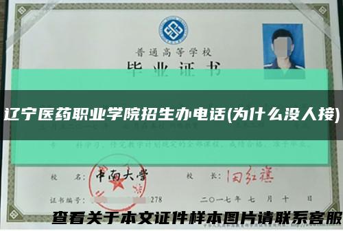 遼寧醫藥職業學院招生辦電話(為什么沒人接)縮略圖