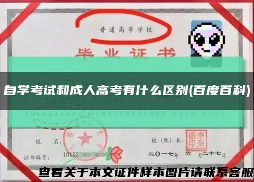 自學考試和成人高考有什么區別(百度百科)縮略圖