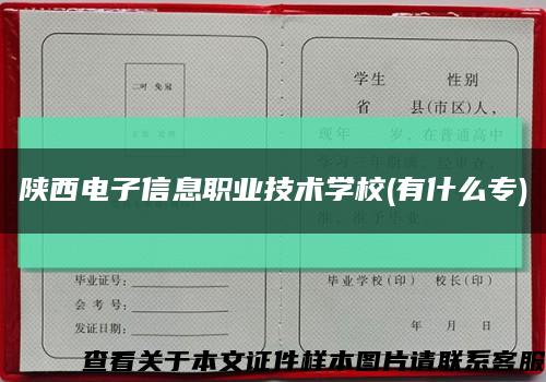 陜西電子信息職業技術學校(有什么專)縮略圖