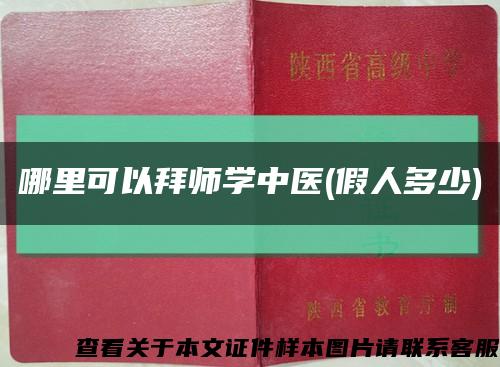 哪里可以拜師學中醫(假人多少)縮略圖