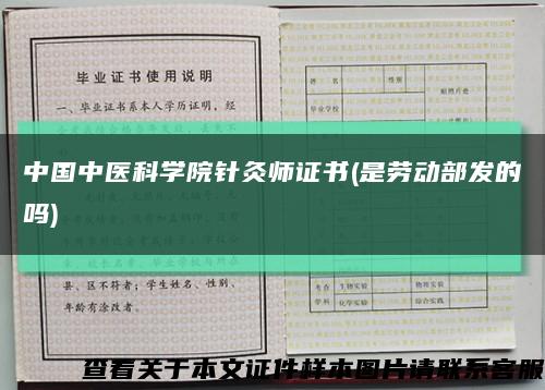 中國中醫科學院針灸師證書(是勞動部發的嗎)縮略圖