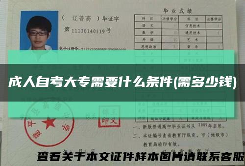 成人自考大專需要什么條件(需多少錢)縮略圖