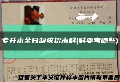 專升本全日制統招本科(科要考哪些)縮略圖