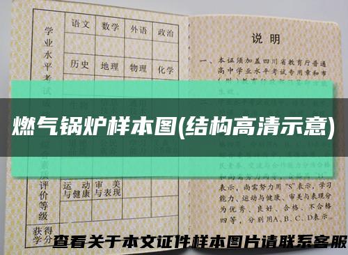 燃氣鍋爐樣本圖(結構高清示意)縮略圖
