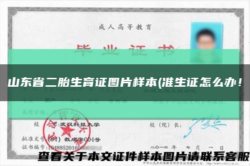 山東省二胎生育證圖片樣本(準生證怎么辦！縮略圖