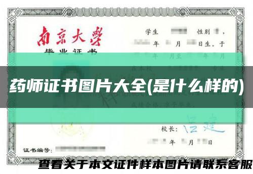 藥師證書圖片大全(是什么樣的)縮略圖