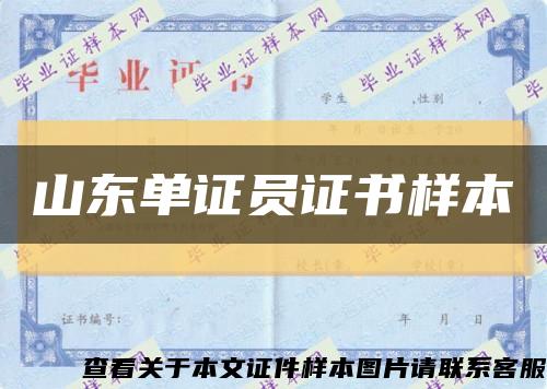 山東單證員證書樣本縮略圖