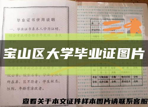寶山區大學畢業證圖片縮略圖