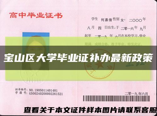 寶山區大學畢業證補辦最新政策縮略圖
