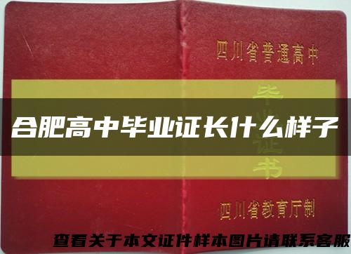 合肥高中畢業證長什么樣子縮略圖