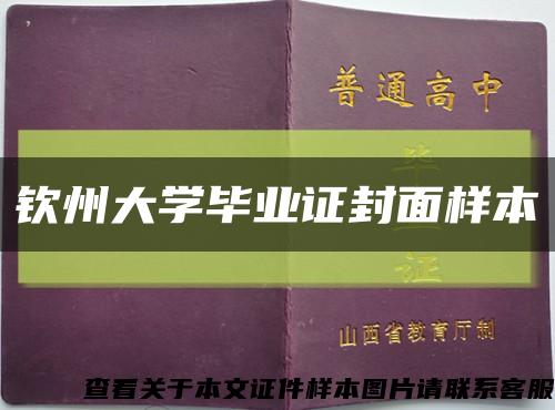 欽州大學畢業證封面樣本縮略圖