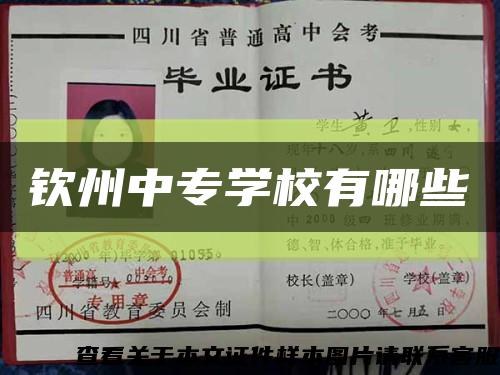欽州中專學校有哪些縮略圖